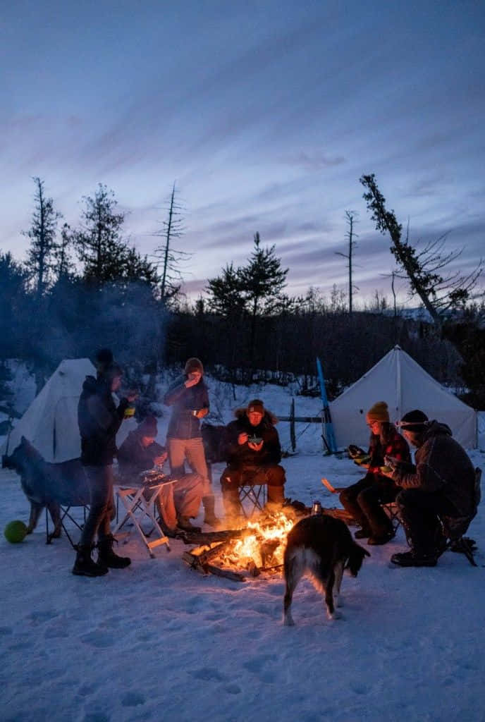 Winter Camping 688 X 1024 Wallpaper Wallpaper