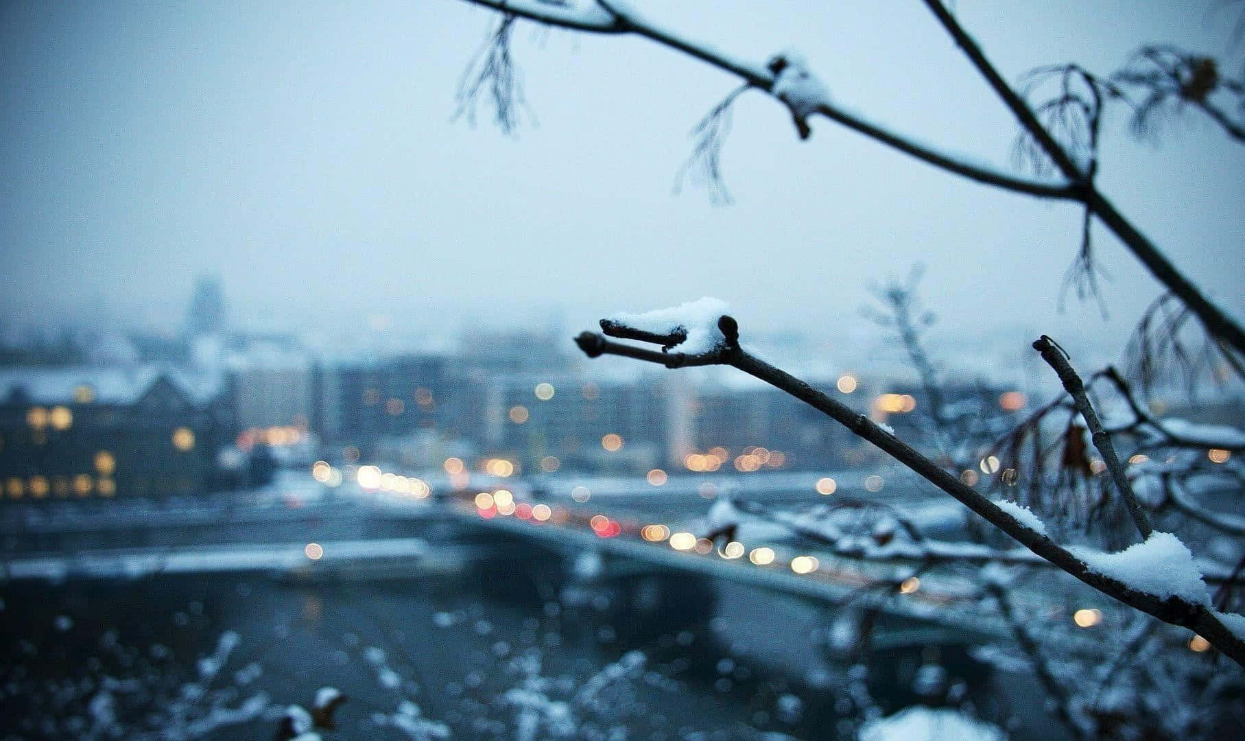 Winter Cityscape With Serene Snowfall Wallpaper