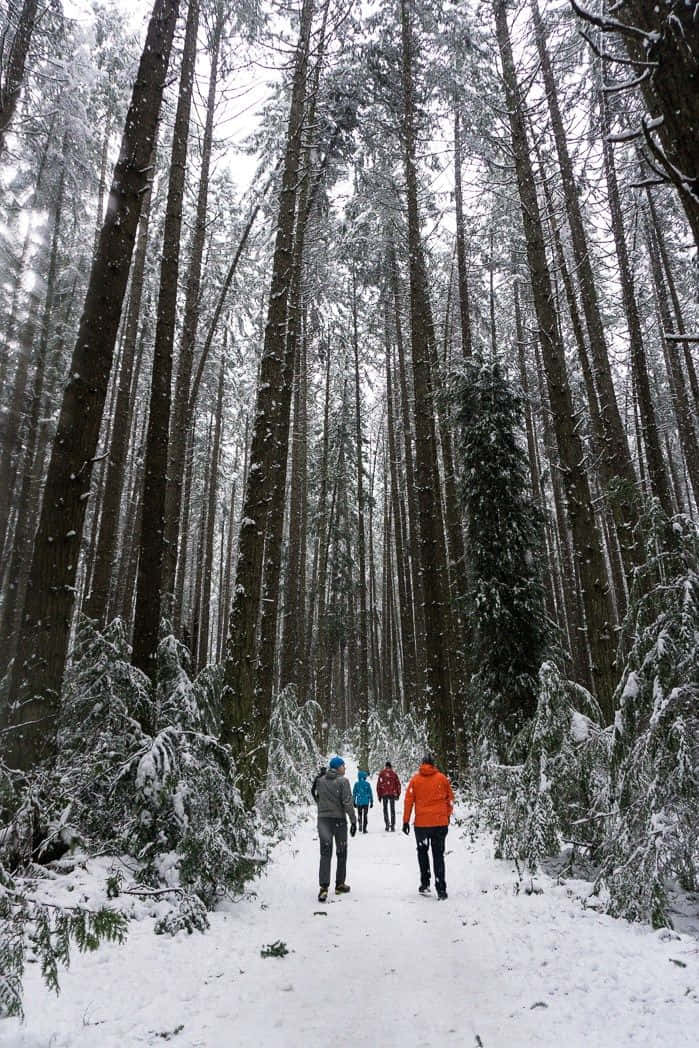 Winter Hiking Adventure On A Snowy Mountain Trail Wallpaper