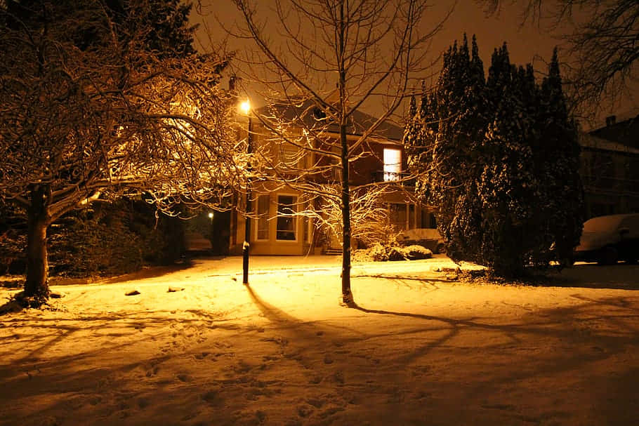 Winter Night Snowfall Residential Area Ripon U K Wallpaper