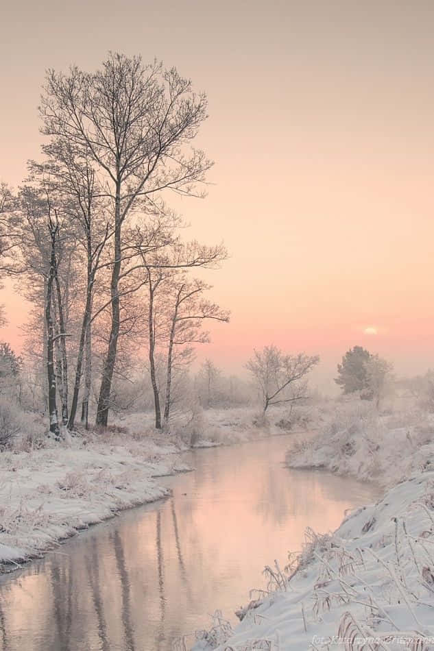 Winter Photography 633 X 950 Wallpaper Wallpaper