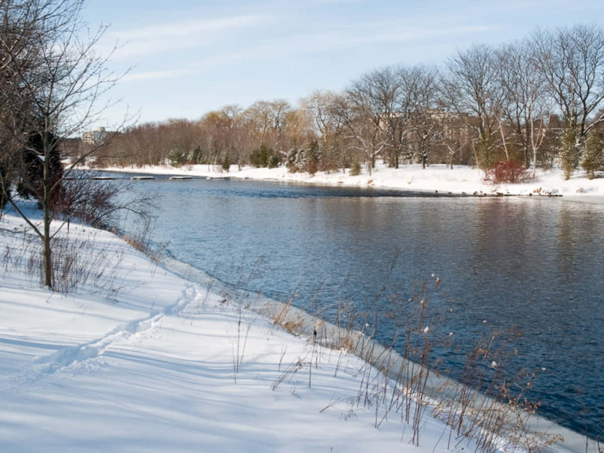 Winter River Scene Guelph Wallpaper