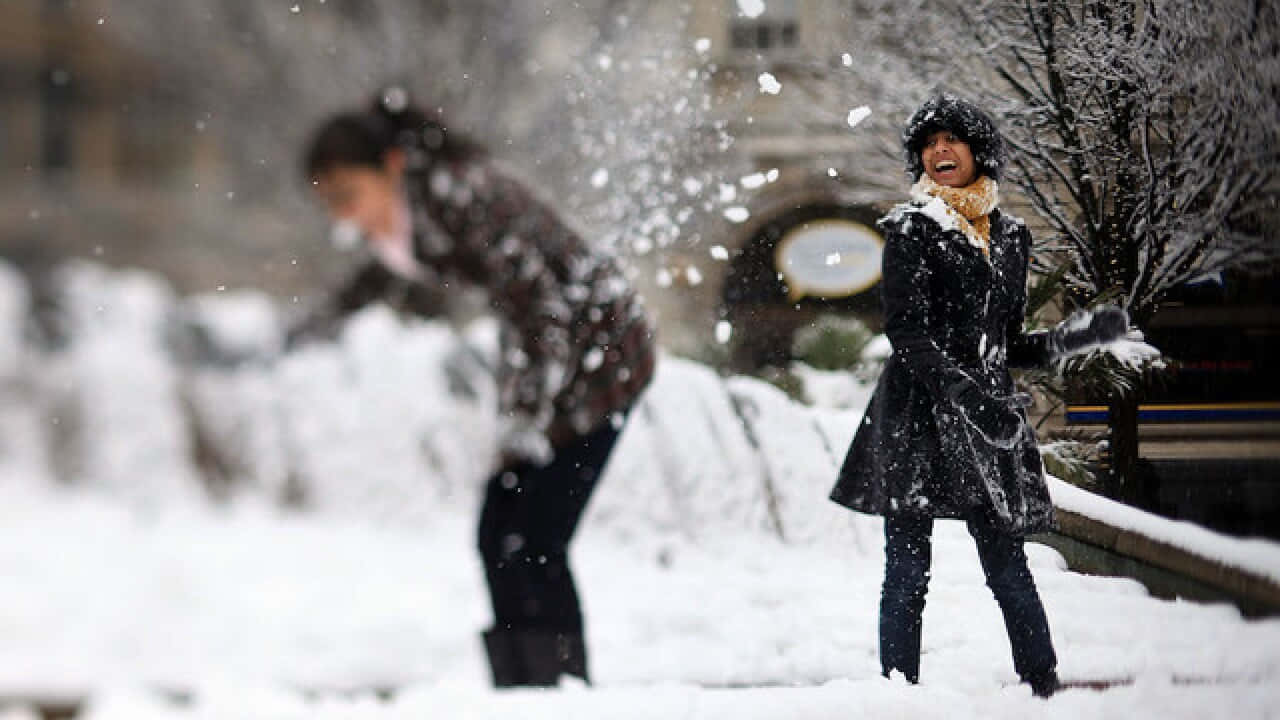 Winter Snowball Fight Joy Wallpaper