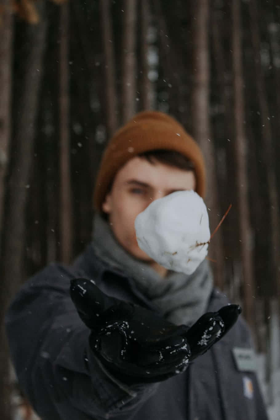 Winter Snowball Toss Action Wallpaper