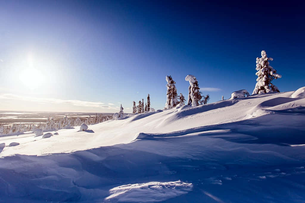 Winter_ Sunrise_in_ Lillehammer Wallpaper