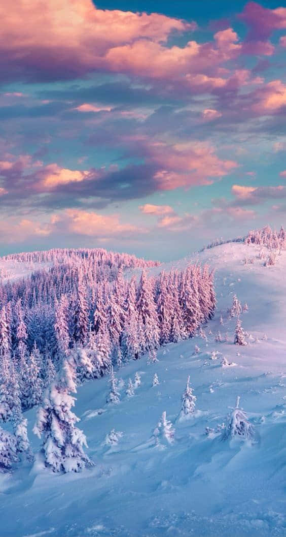 Winter Wonderland: Enchanting Snowy Forest Scene Wallpaper