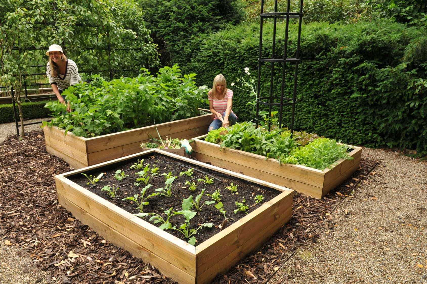 With A Plethora Of Colors, Garden Beds Make The Perfect Outdoor Focal Point. Wallpaper