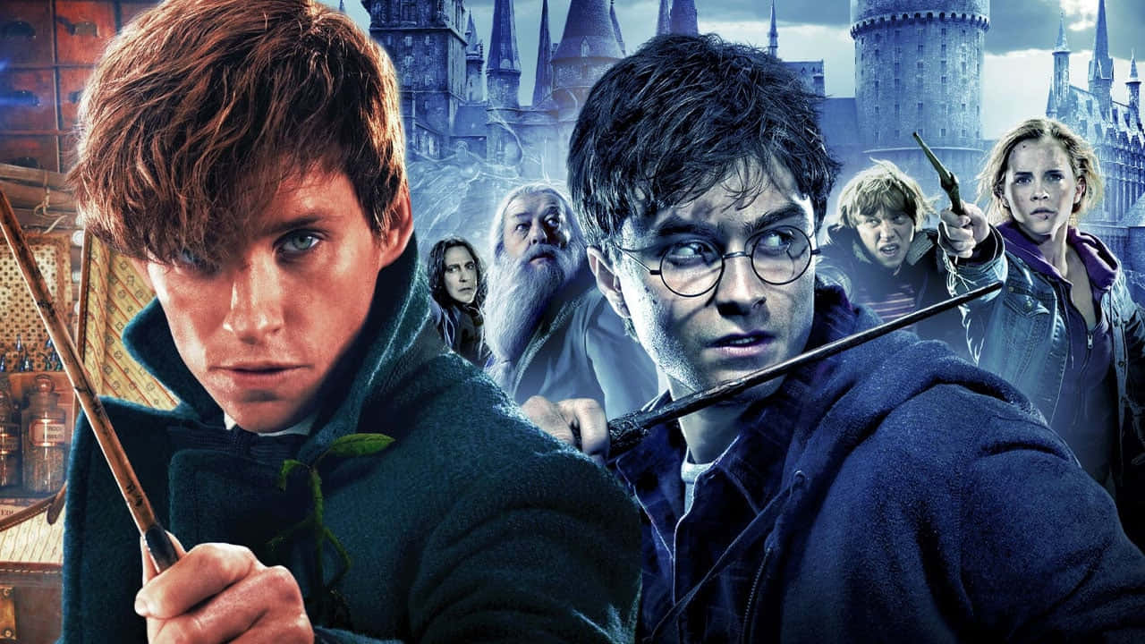 Wizarding World Heroes Wallpaper