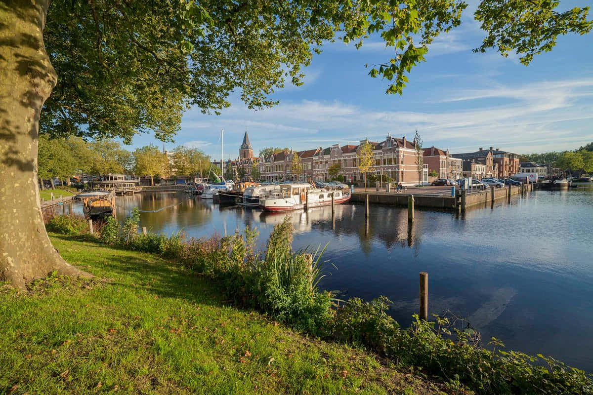 Woerden Harbor Sunny Day Wallpaper