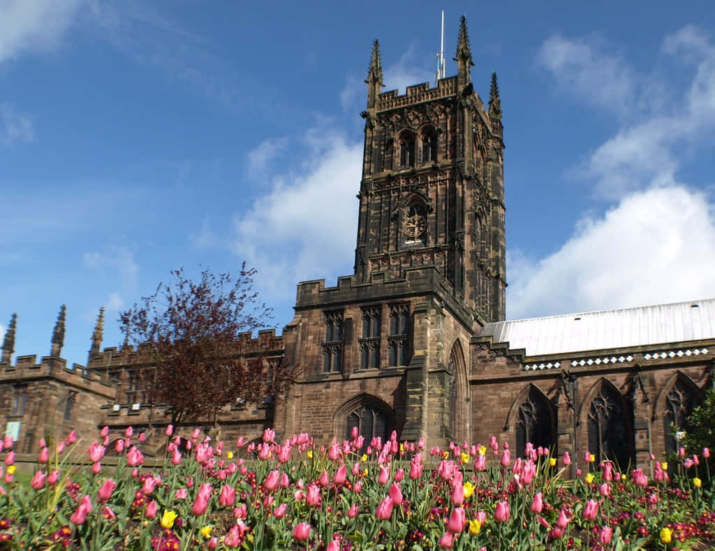 Wolverhampton Churchand Tulips Wallpaper