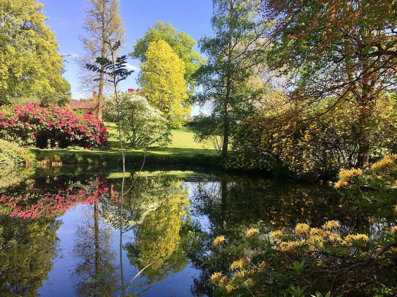 Wolverhampton Springtime Reflections Wallpaper