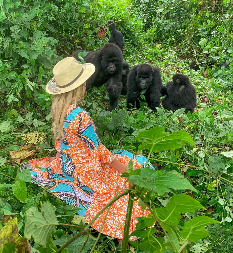 Woman Encountering Gorillasin Congo Wallpaper