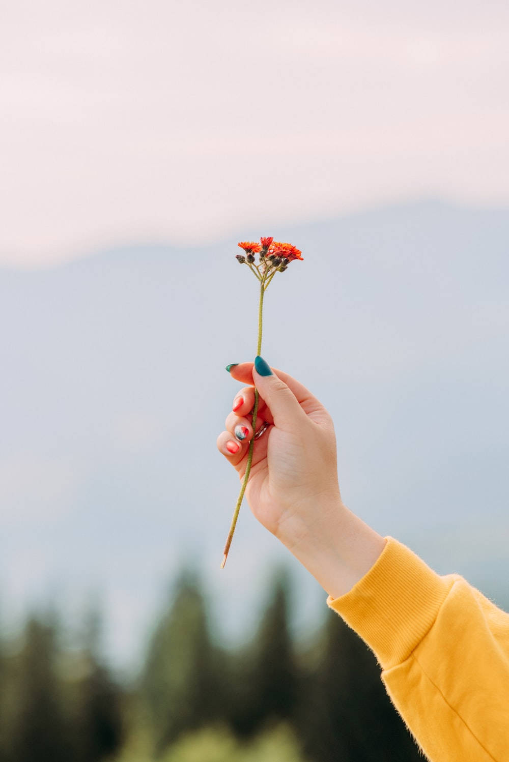 Woman Holding Bunga Wallpaper