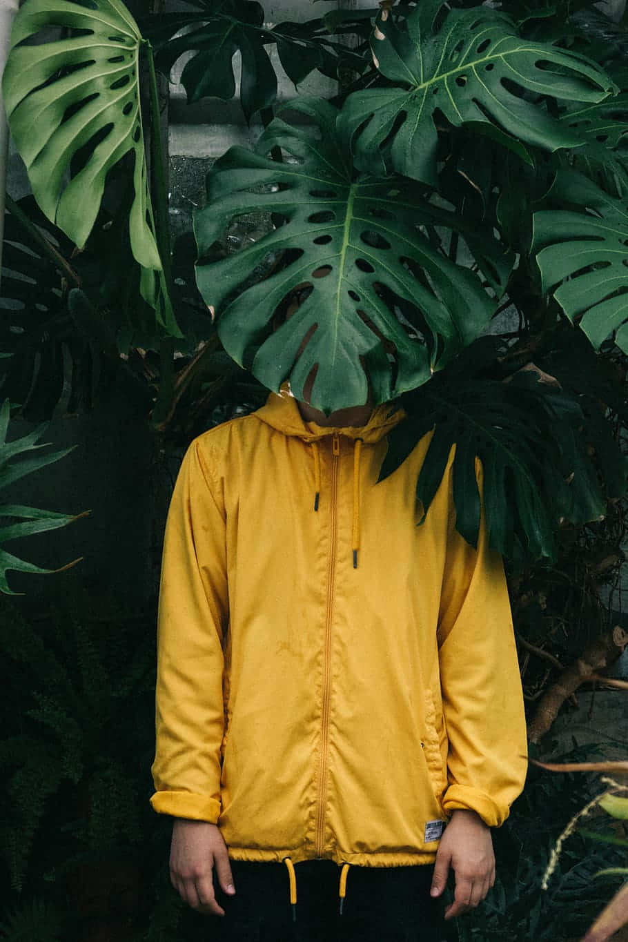 Woman Wearing A Stylish Yellow Raincoat In The Rain Wallpaper