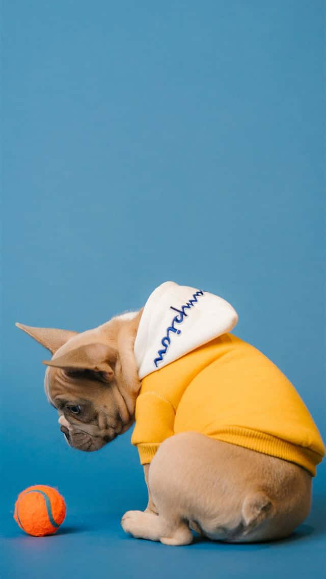 Woman Wearing A Yellow Raincoat Wallpaper