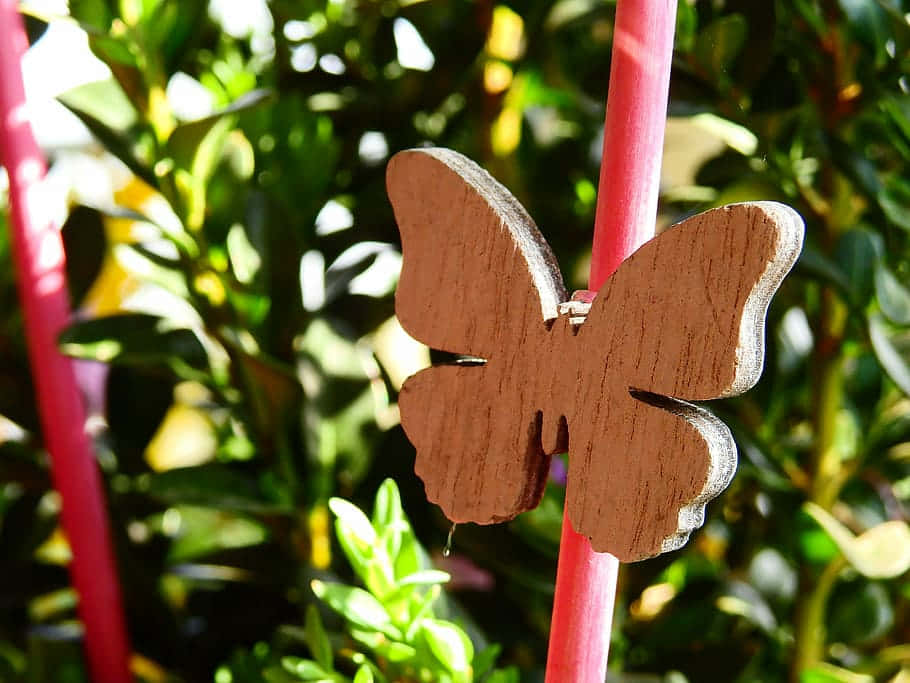 Wooden Butterfly Garden Decoration.jpg Wallpaper