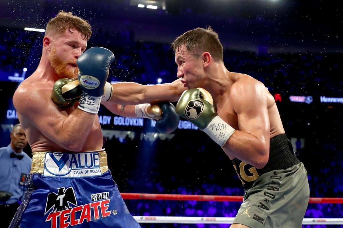 World Champion Boxer Canelo Alvarez Wallpaper