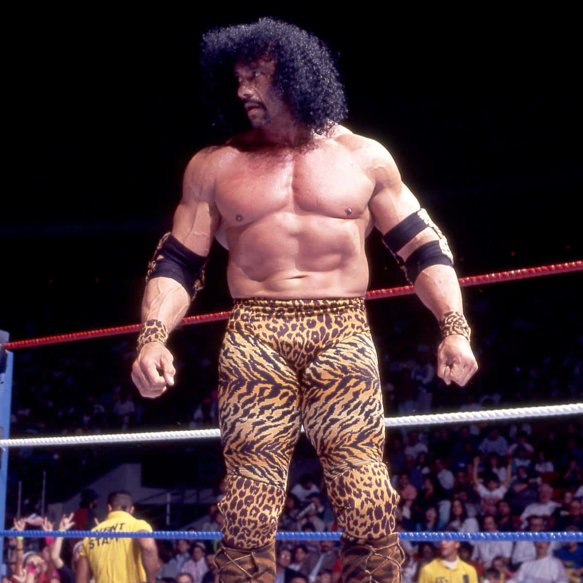 Wwe Leopard Jimmy Snuka Wallpaper