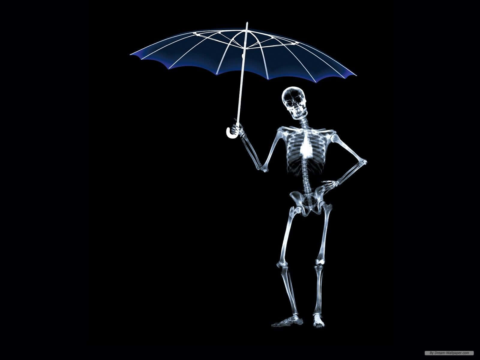 X-ray Shows Human Skeleton Wallpaper