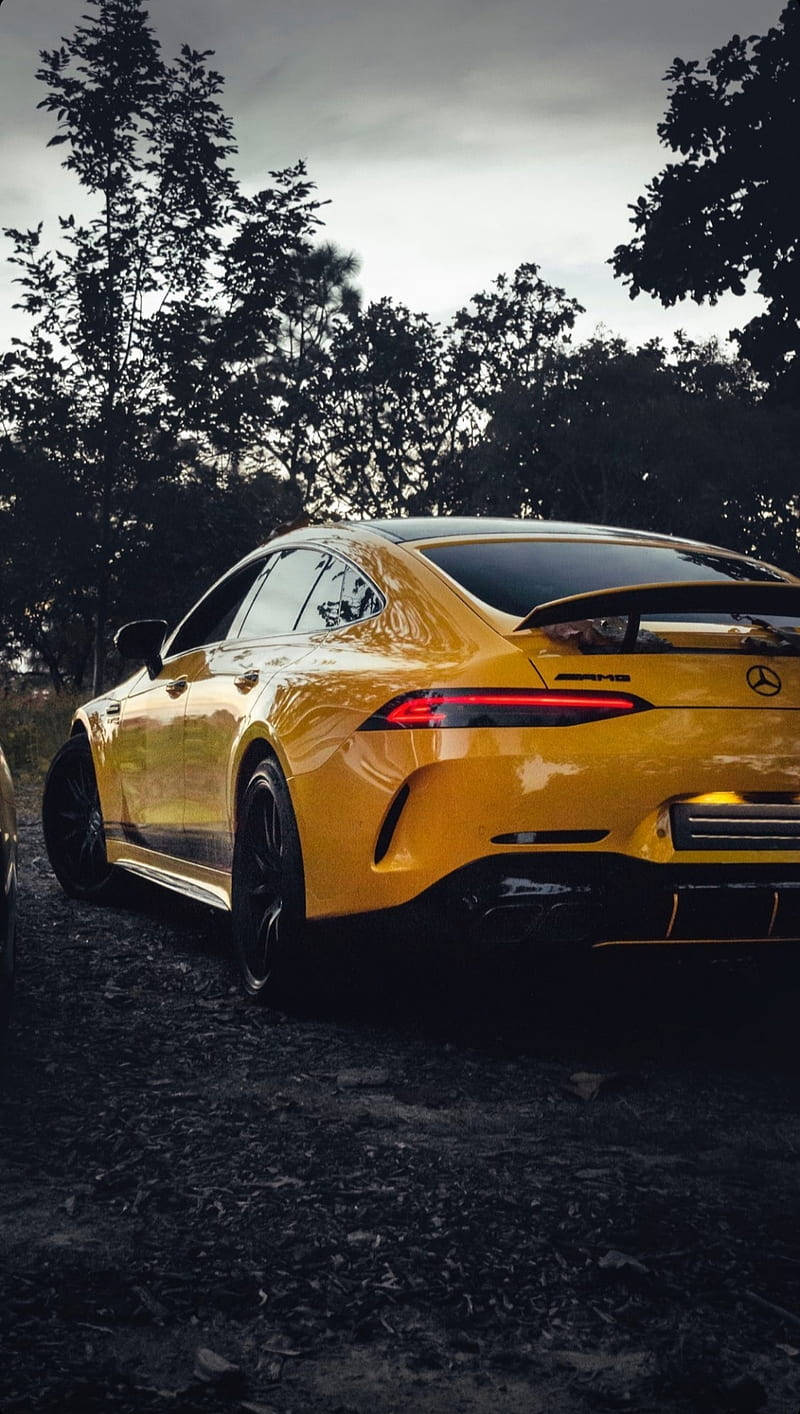 Yellow Amg Parked By The Trees Wallpaper