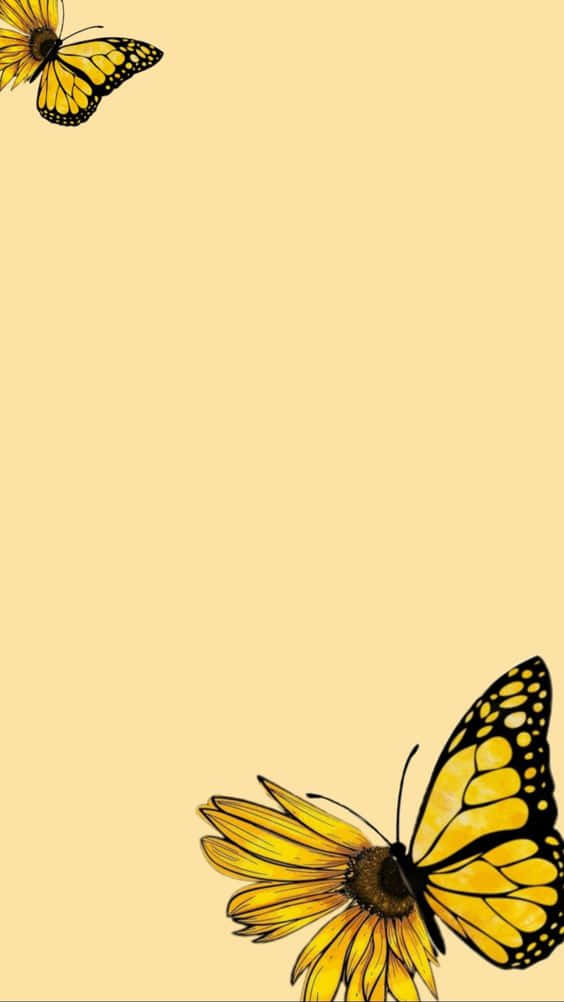 Yellow Butterfly On A Yellow Background Wallpaper