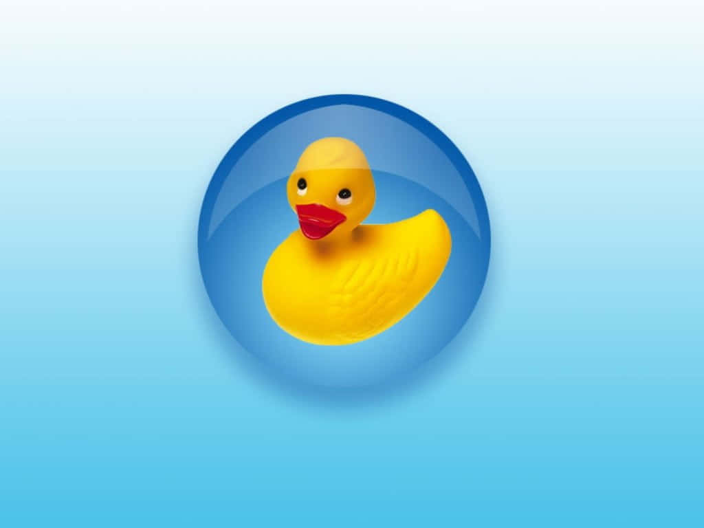 Yellow Rubber Ducky Blue Background Wallpaper