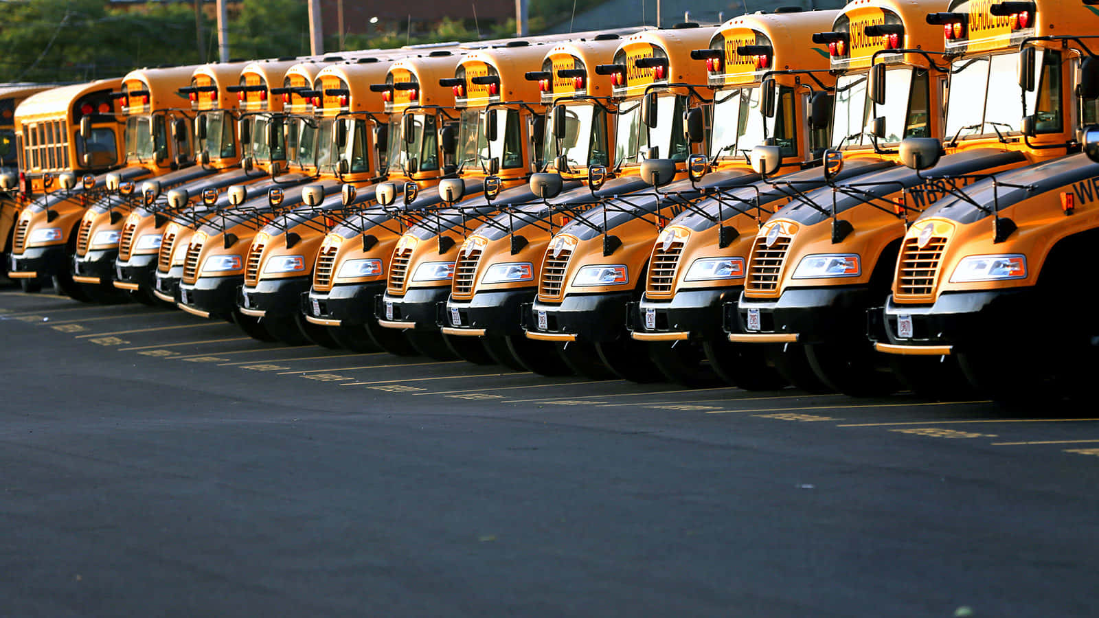 Yellow School Bus On The Road Wallpaper