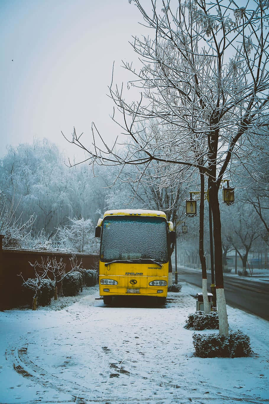 Yellow School Bus Parked By The Sidewalk Wallpaper