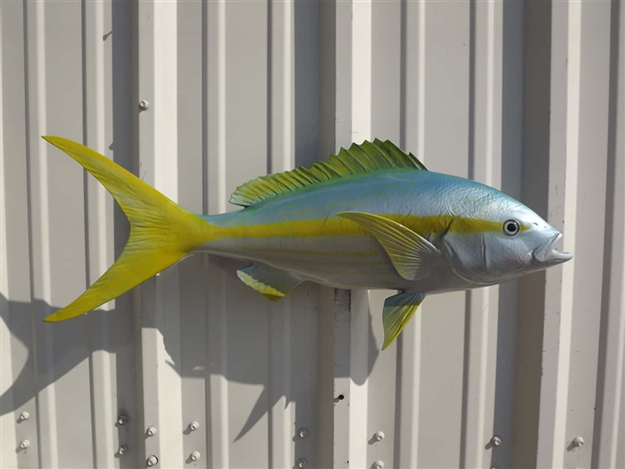 Yellowtail Snapper Metal Artwork Wallpaper