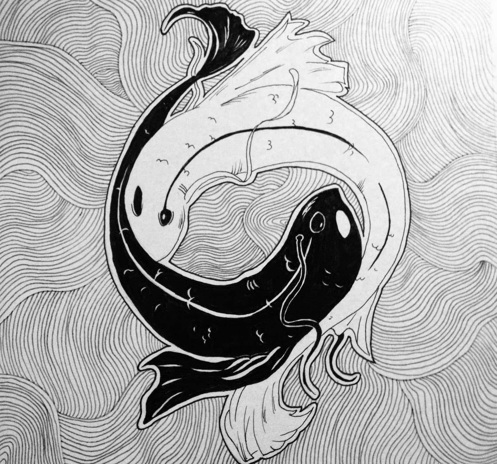 Yin Yang Fish In Harmony Wallpaper