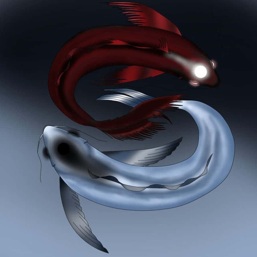 Yin Yang Koi Fish Wallpaper