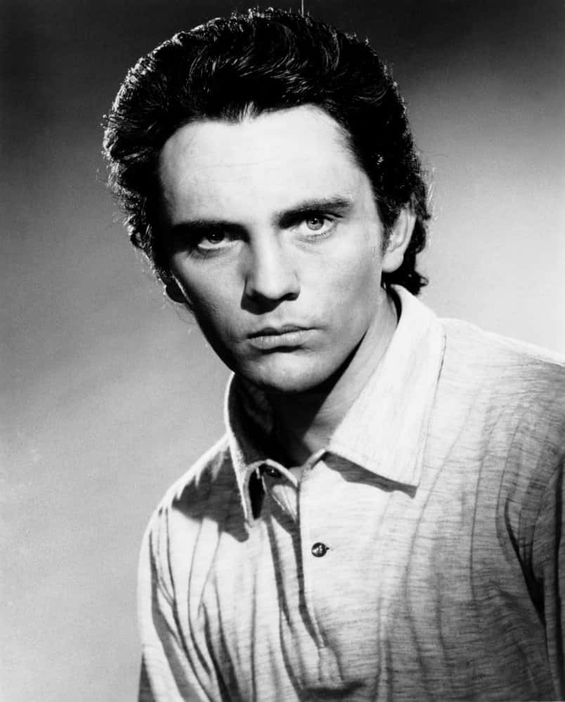 Young Terence Stamp Portrait Wallpaper