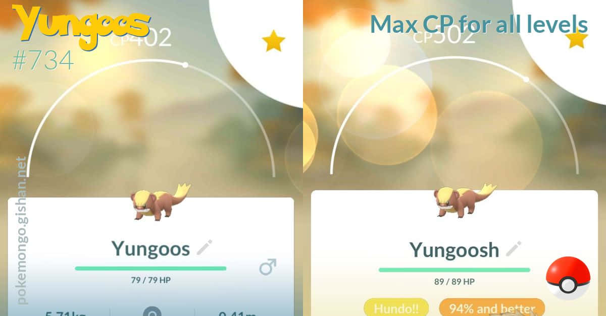 Yungoos 1200 X 627 Wallpaper