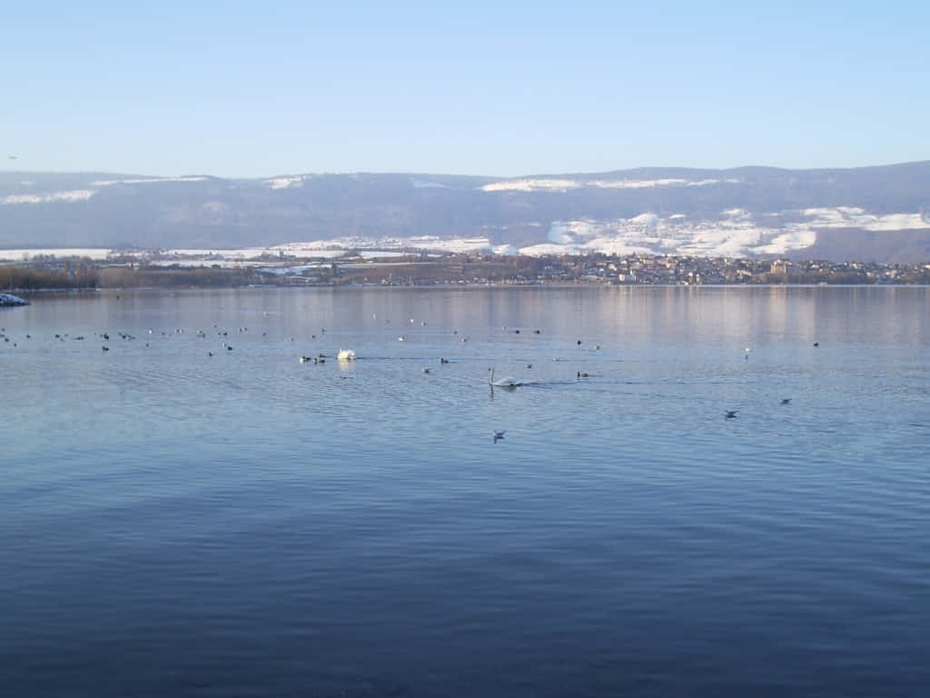 Yverdon Les Bains Lake View Winter Wallpaper