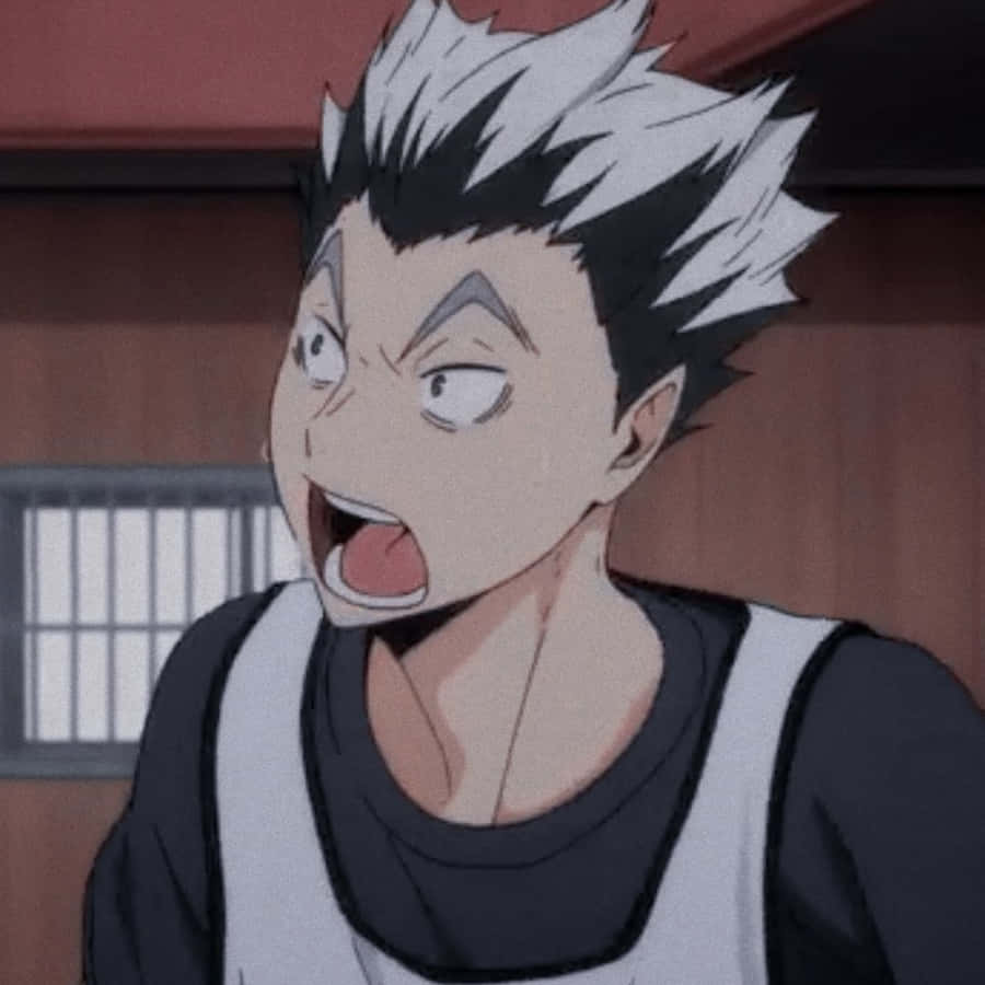 1. Experience The Magnificence Of Ktar Bokuto Wallpaper