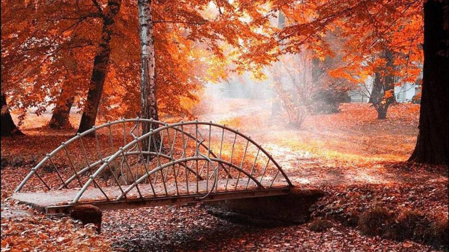 1920x1080 4k Bridge In Autumn Forest Wallpaper