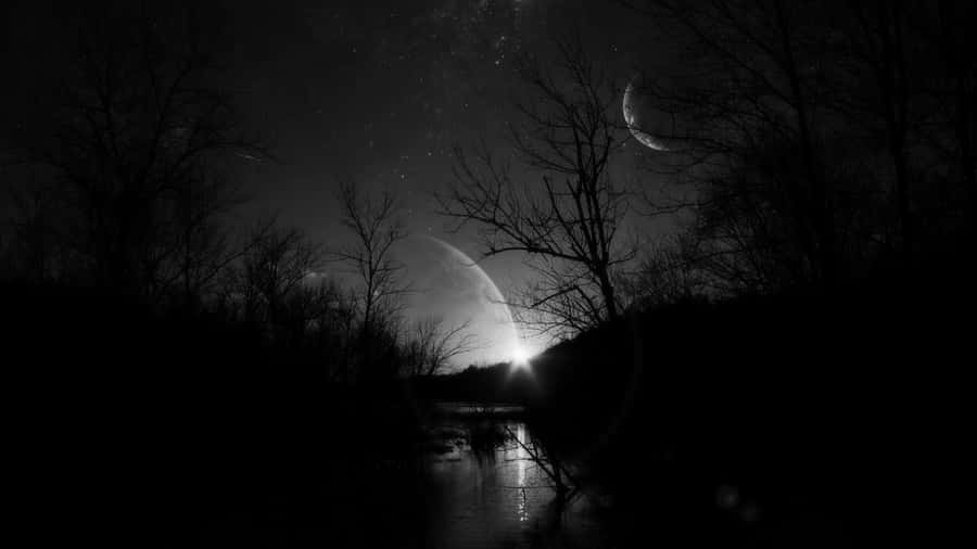 1920x1080 Black Forest River View Wallpaper