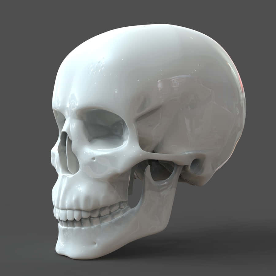 3d Skull Wallpaper Wallpaper