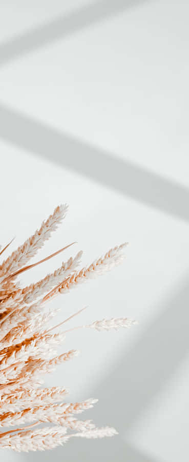 4k City Scape Shot From A Drone Wallpaper