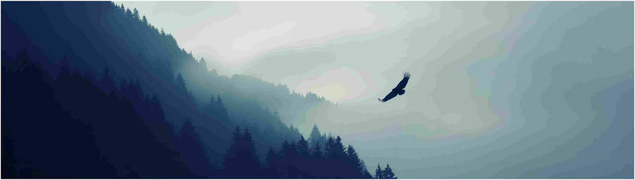 4k Dual Monitor Eagle Flying Over Forest Wallpaper