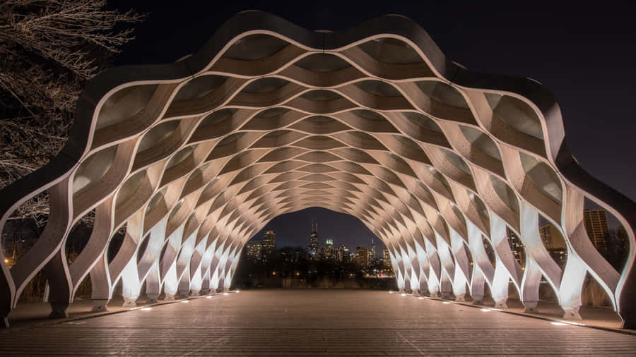 4k Ultra Hd Chicago Nature Boardwalk Wallpaper