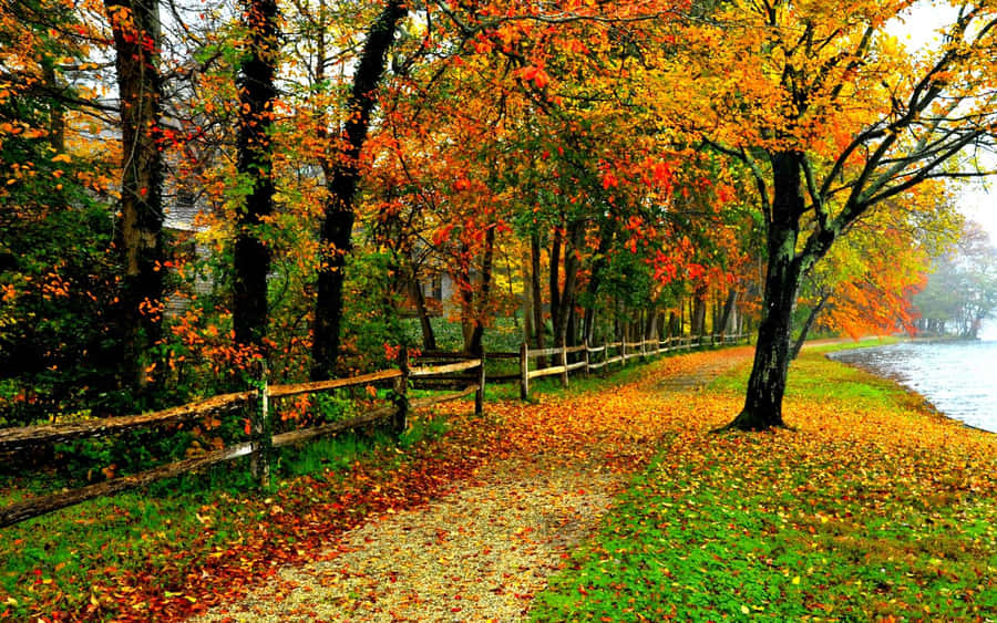 A Beautiful Autumn Scenery Wallpaper