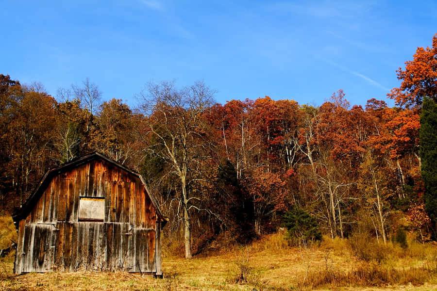 A Beautiful Fall Barn Surrounded By Autumn Foliage Wallpaper