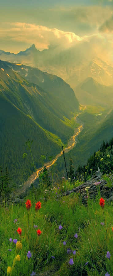 A Beautiful Sunrise In The City Wallpaper