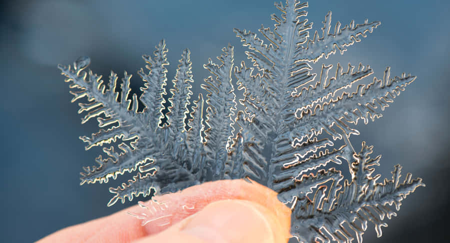 A Beautiful Sunrise Seen From Beach. Wallpaper