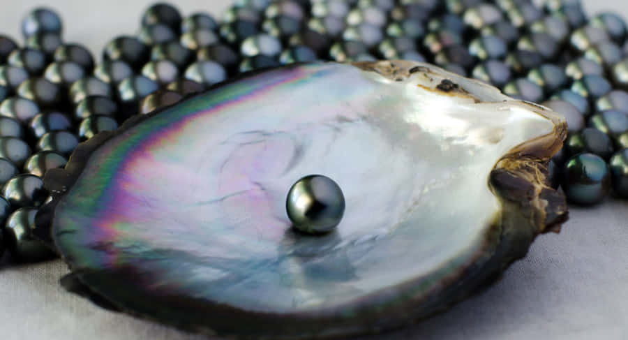 A Beautiful Sunset At The Beach Wallpaper