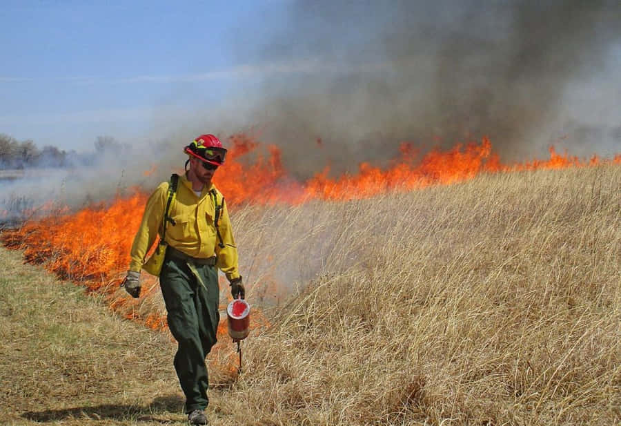 A Beautiful View Of Blue Grass Wallpaper