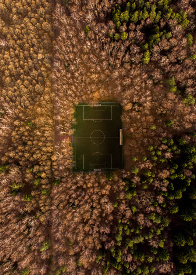A Bird's Eye View Of A Football Field On A Sunny Day Wallpaper