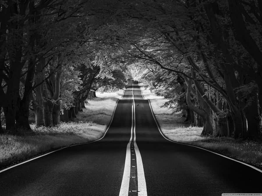 A Black And White Aesthetic Gaming Pc Wallpaper