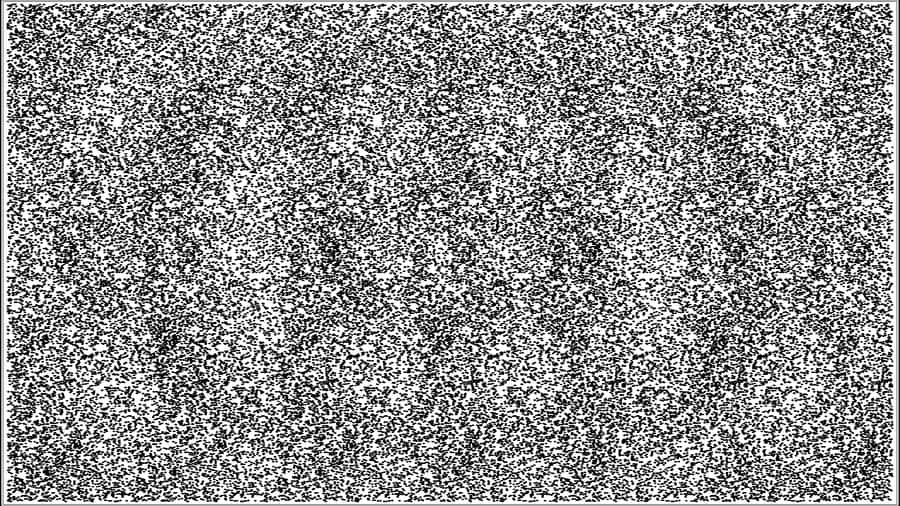 A Black And White Drawing Of A Flower Wallpaper